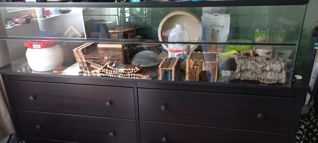 Knaagdieren hok/terrarium, Ophalen, Zo goed als nieuw, Hok, Minder dan 60 cm