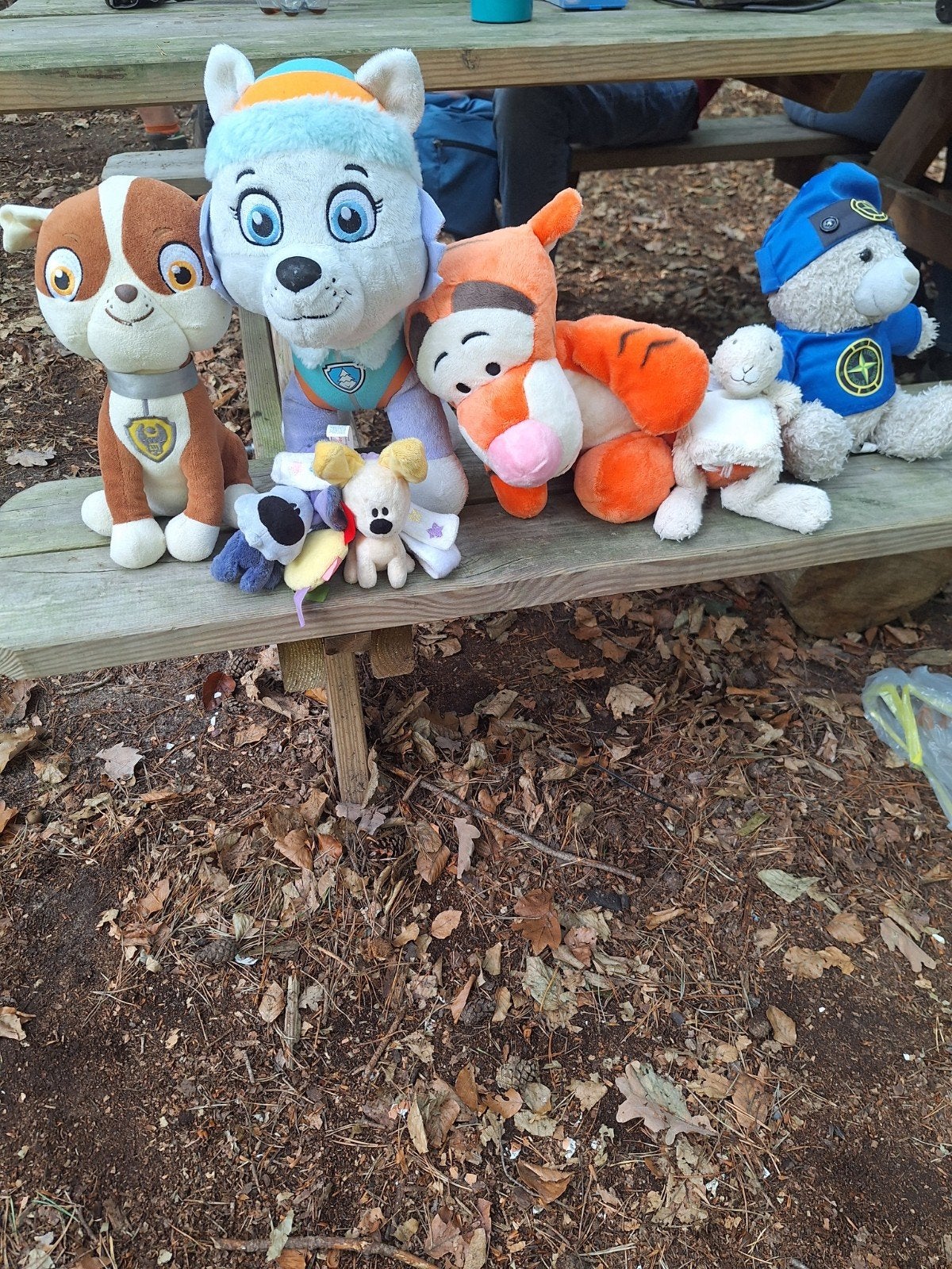 Leuke  Paw Patrol en andere knuffels, Disney, Ophalen of Verzenden, Middelgroot (20 tot 80 cm), Meerkleurig