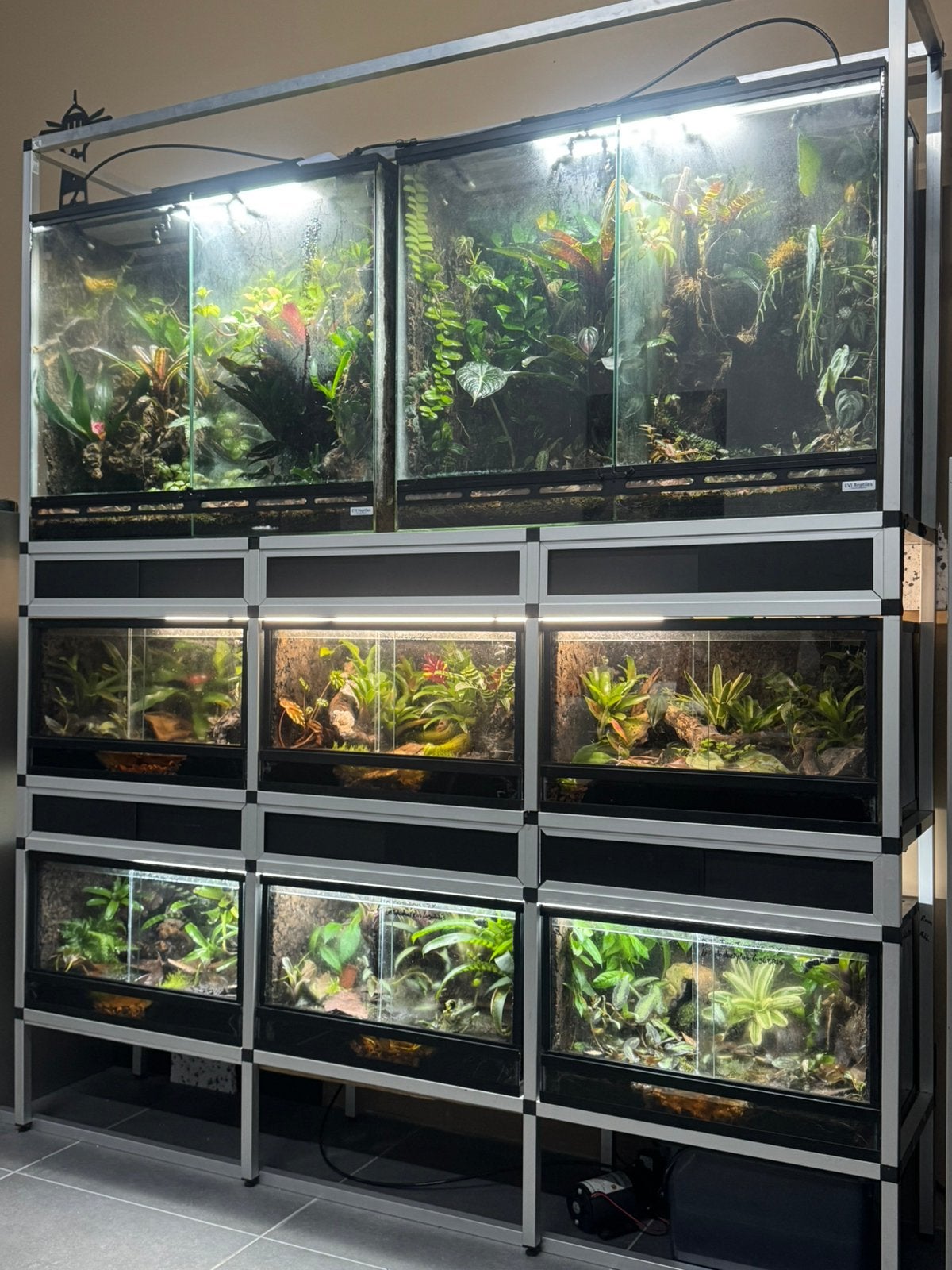 Terrraium paludarium stelling met bewoners en toebehoren, Ophalen, Zo goed als nieuw