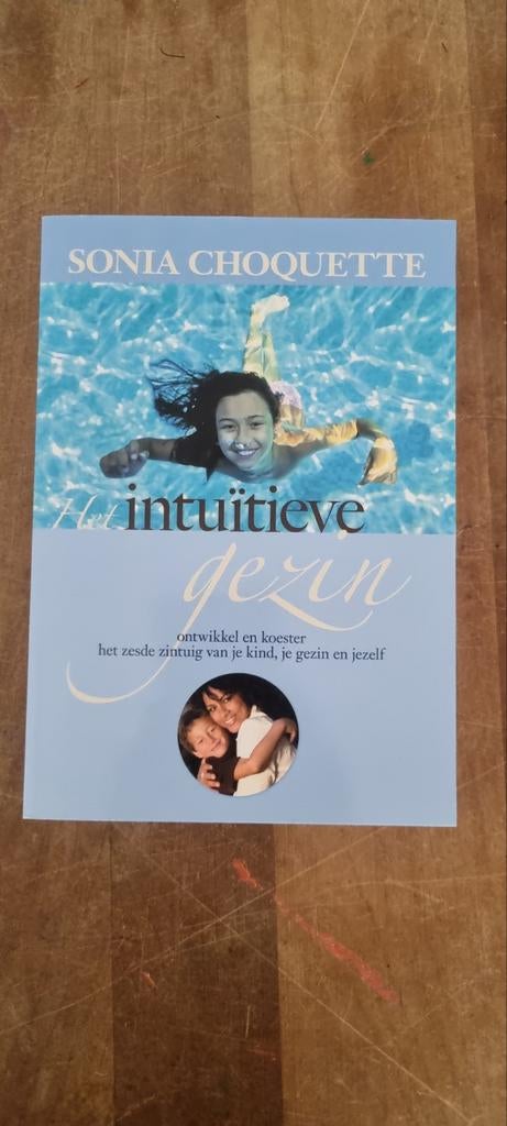 Het intuïtieve gezin - Sonia Choquette, Gelezen, Achtergrond en Informatie, Spiritualiteit algemeen, Ophalen of Verzenden
