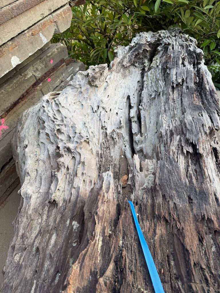 Warkhout Teak uit Indonesië - Zee-gesleten Hout, Ophalen of Verzenden