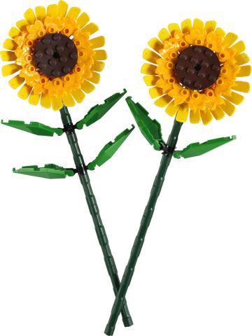 Lego | Bloemenserie | Zonnebloemen | 40524, Lego, Overige thema's, Lego, https://legohouse.com/en-gb/info/contact-us/