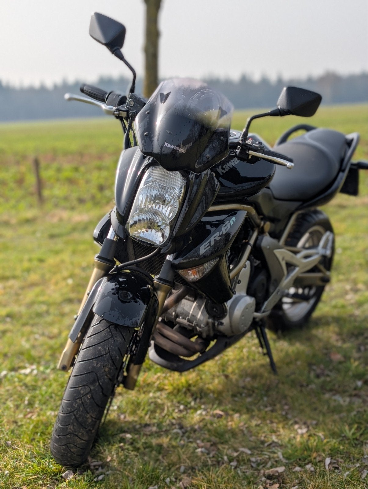 Kawasaki ER-6n Naked Bike A2 rijbewijs - Zwart, Goede Staat, Motoren, 2 cilinders, Gebruikt, Particulier, Minimaal motorrijbewijs A2