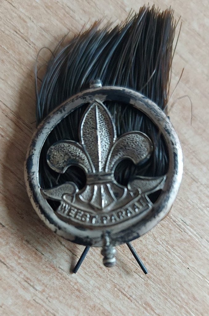 scouting verzilverde Hoedpluim Hopman met paardenhaar ca1955, Verzamelen, Ophalen of Verzenden, Gebruikt, Embleem, Speld of Insigne