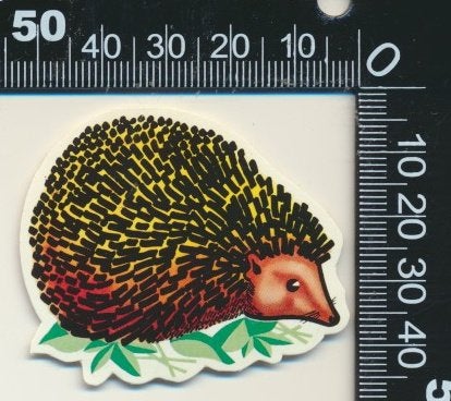 Sticker: Egel, Ophalen of Verzenden, Zo goed als nieuw, Dier en Natuur