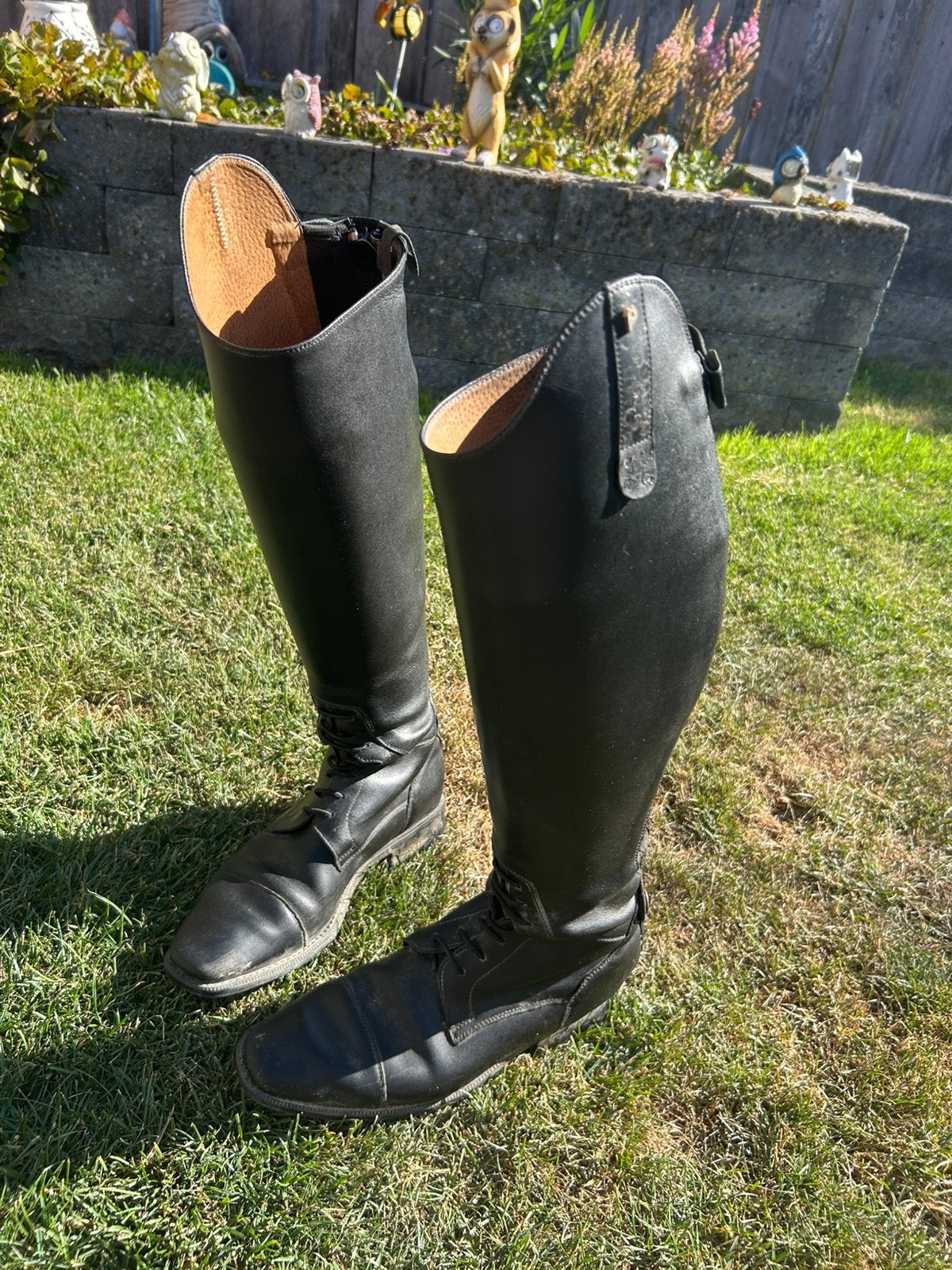 Petrie laarzen, Dieren en Toebehoren, Paardrijkleding, Dressuur, Ophalen of Verzenden, Zo goed als nieuw, Schoeisel