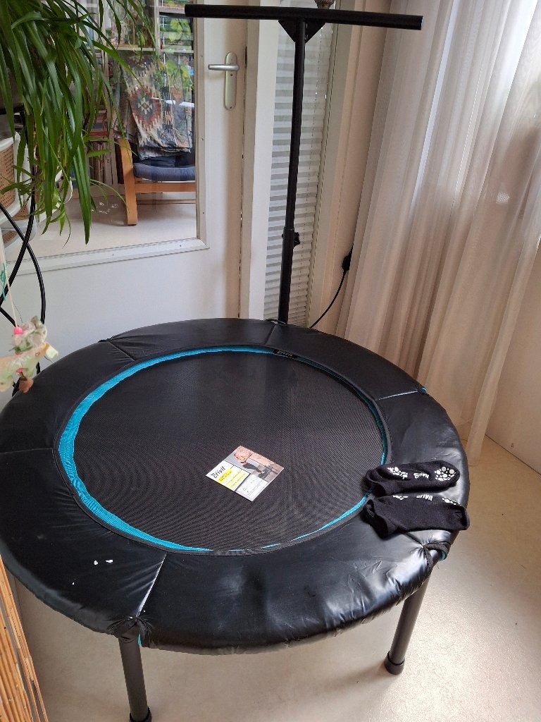Crivit Fitness Trampoline met handvat en DVD, Ophalen, Zo goed als nieuw, Benen, Overige typen