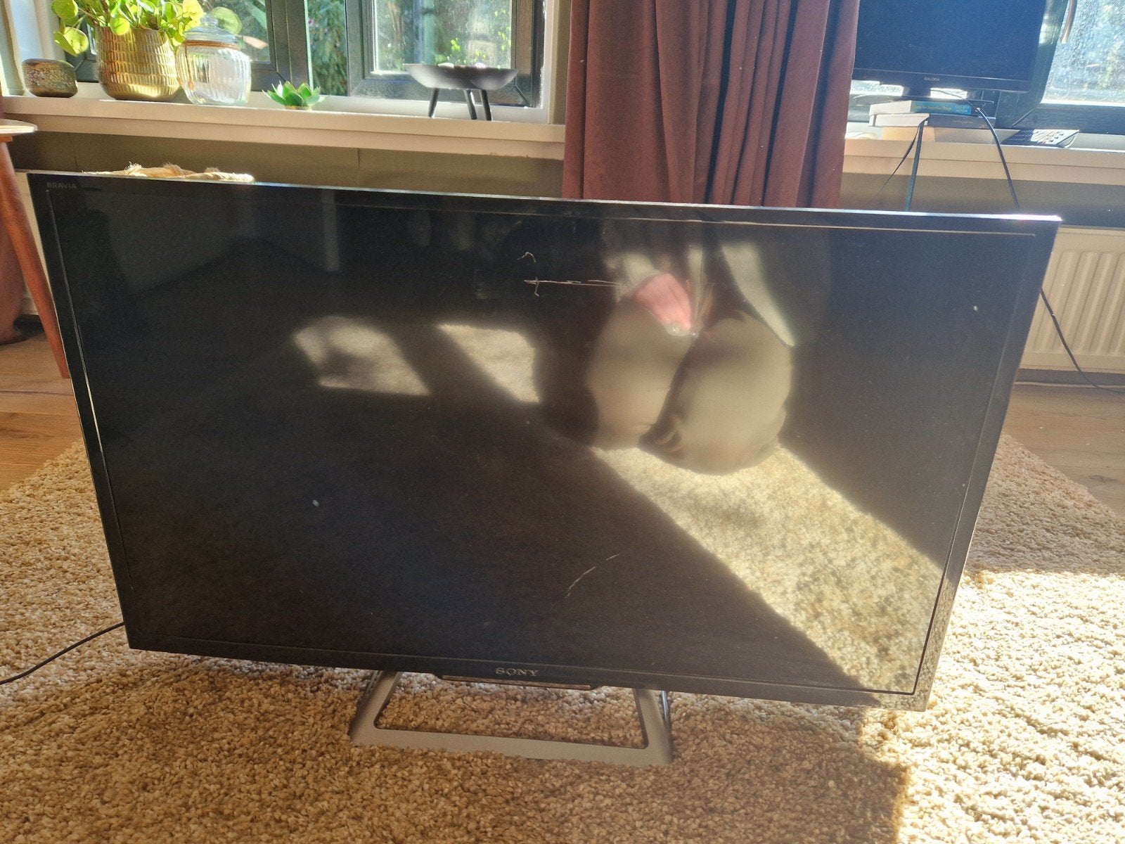 Sony tv, Ophalen, Gebruikt, 50 Hz, Sony