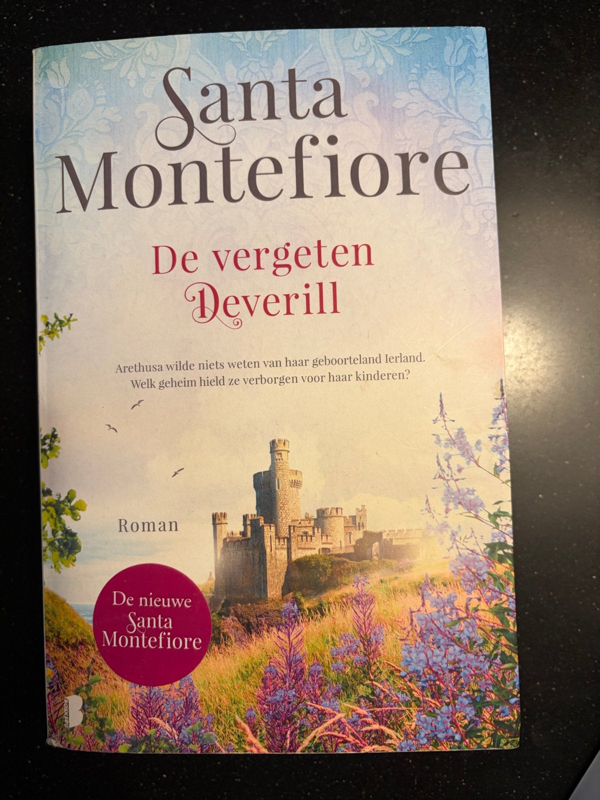 De vergeten Deverill - Santa Montefiore (Roman), Boeken, Ophalen of Verzenden, Gelezen, Nederland