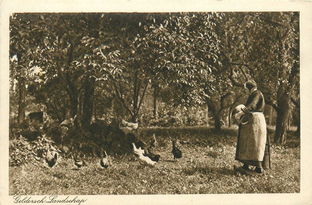 701-068-029 Gelderland, Verzenden, Voor 1920, Gelderland