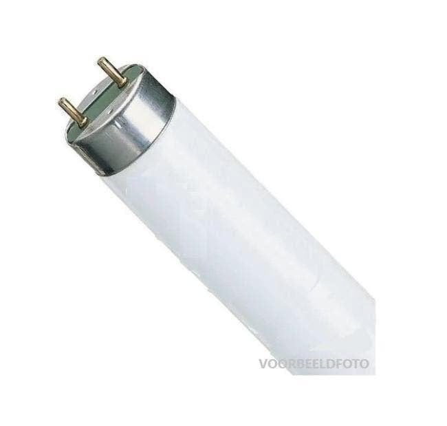 diverse losse lampen TL buizen TLlampen, Ophalen, Nieuw, Overige fittingen, Overige typen