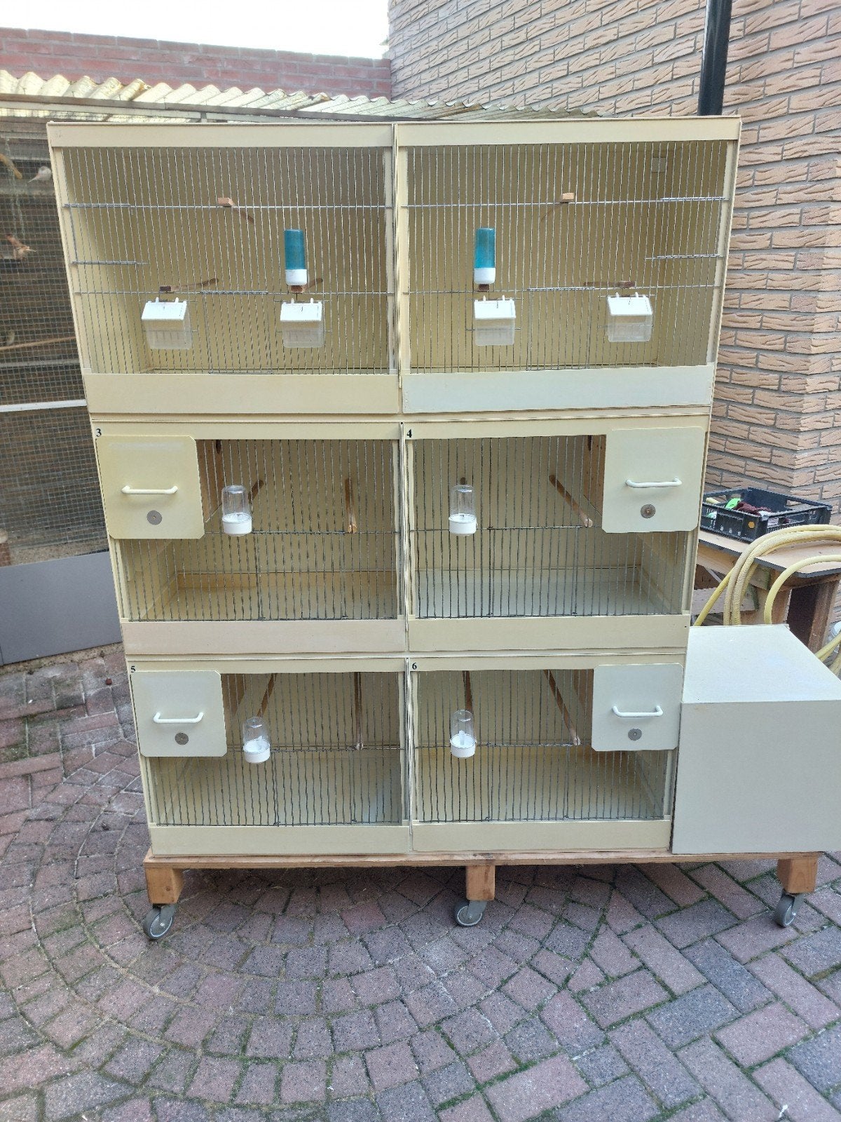 3 kunstofbroedkooien van pascal hemel, Ophalen of Verzenden, Gebruikt, Kunststof, Broedkooi of Kweekkooi