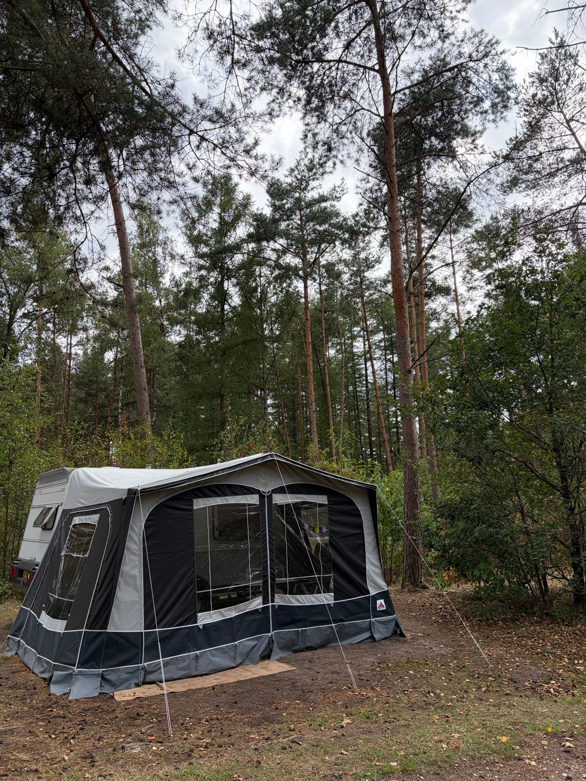 Dorema 270xl voortent maat 7 met fibre tech frame, Ophalen of Verzenden, Zo goed als nieuw, Tot en met 2