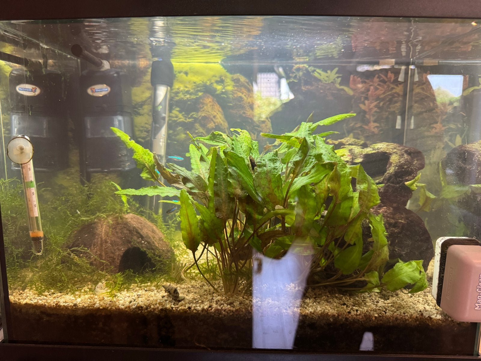 Aquarium 40l inc vissen!, Ophalen, HS Aqua, Pomp, Gevuld zoetwateraquarium