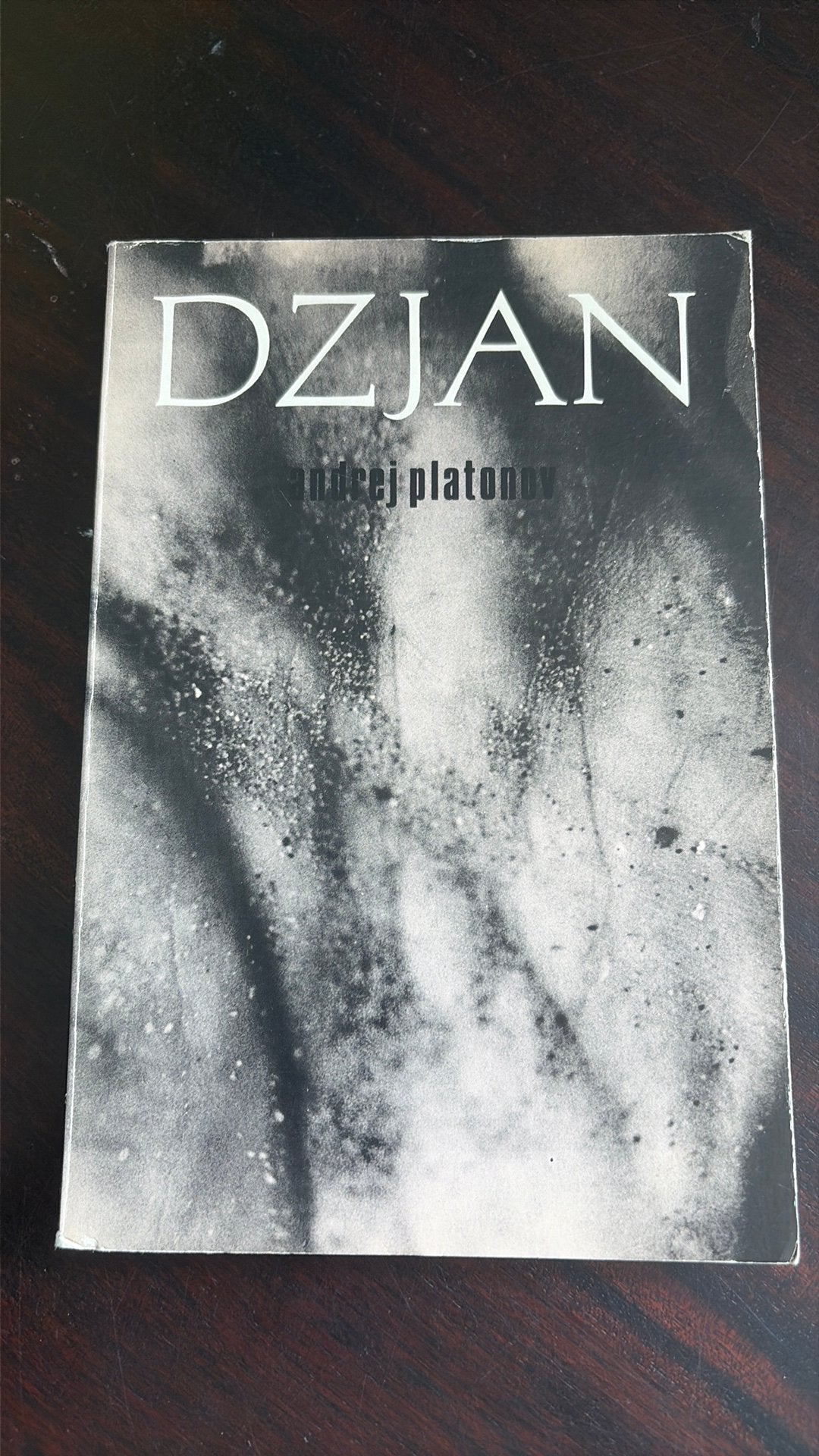 Dzjan - Andrej Plantonov, Ophalen of Verzenden, Gelezen, Europa overig
