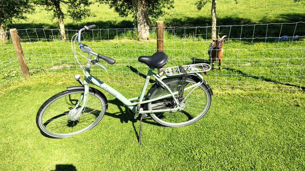 Batavus Rumba Damesfiets - Comfortabel en Stijlvol, Fietsen en Brommers, Ophalen, Gebruikt, Versnellingen, Batavus