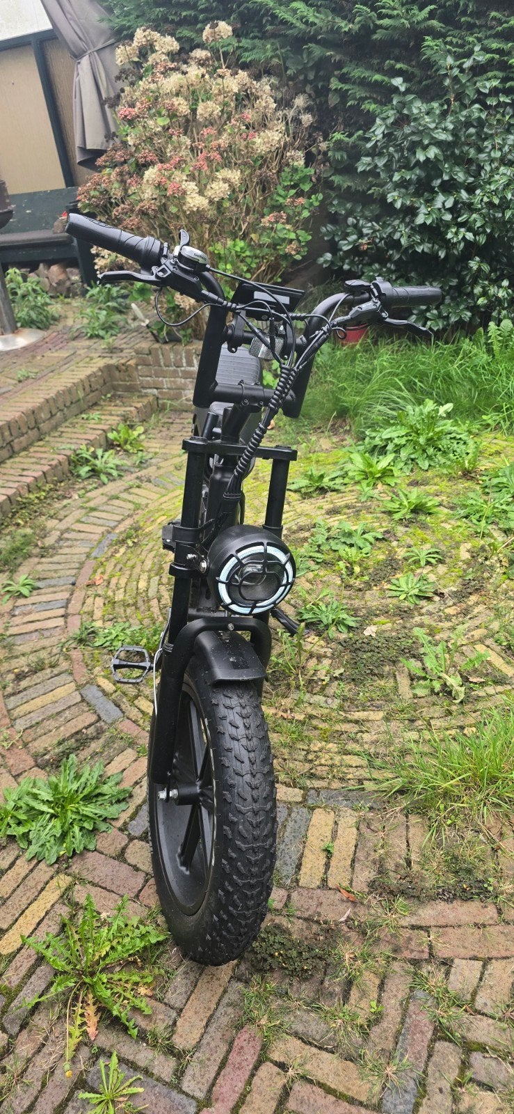 V20 Pro Fatbike - Zeer goede staat, incl. accessoires, Ophalen, Zo goed als nieuw, Schijfrem, Overige merken