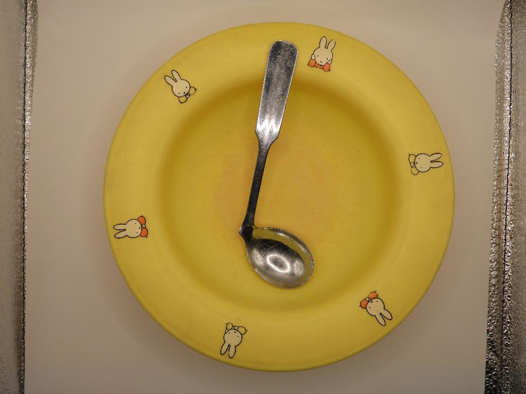 Bord en lepel, Ophalen of Verzenden, Gebruikt, Overige materialen, Los bestek