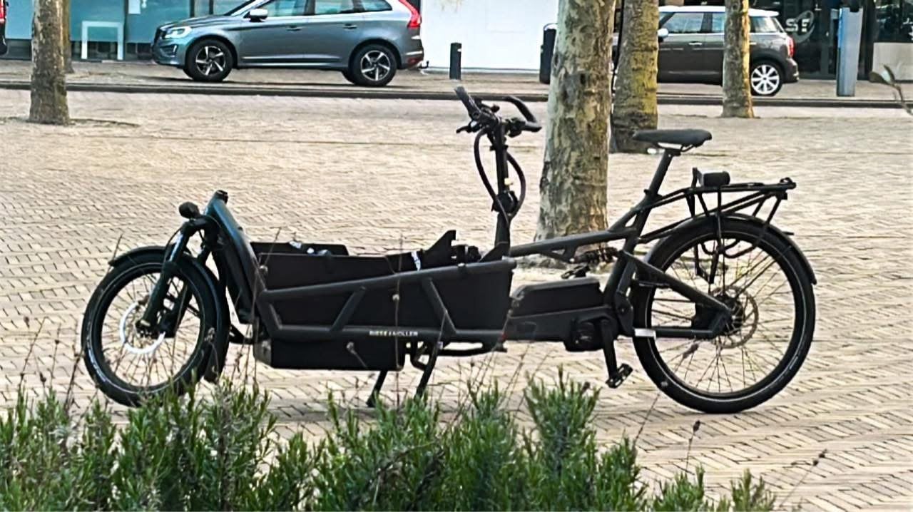 Riese & Müller Load 4 75 met extra opties., Gebruikt, Minder dan 47 cm, 50 km per accu of meer, Ophalen