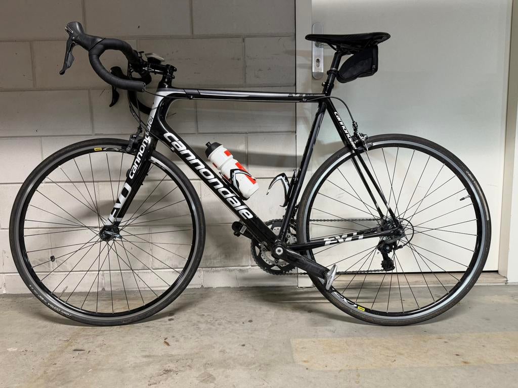 CANNONDALE EVO, Carbon, Zo goed als nieuw, 15 tot 20 versnellingen, 57 tot 61 cm
