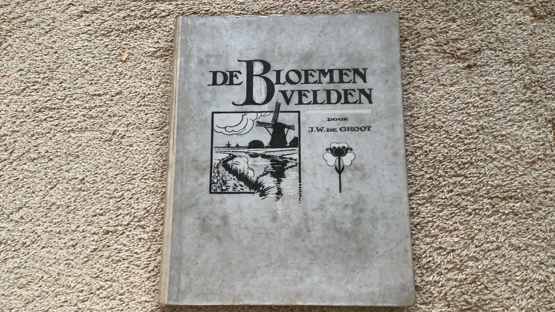 De Bloemenvelden, J.W. de Groot. Uitg. Het Klaverblad 1918, Ophalen of Verzenden, Gelezen, Plaatjesalbum