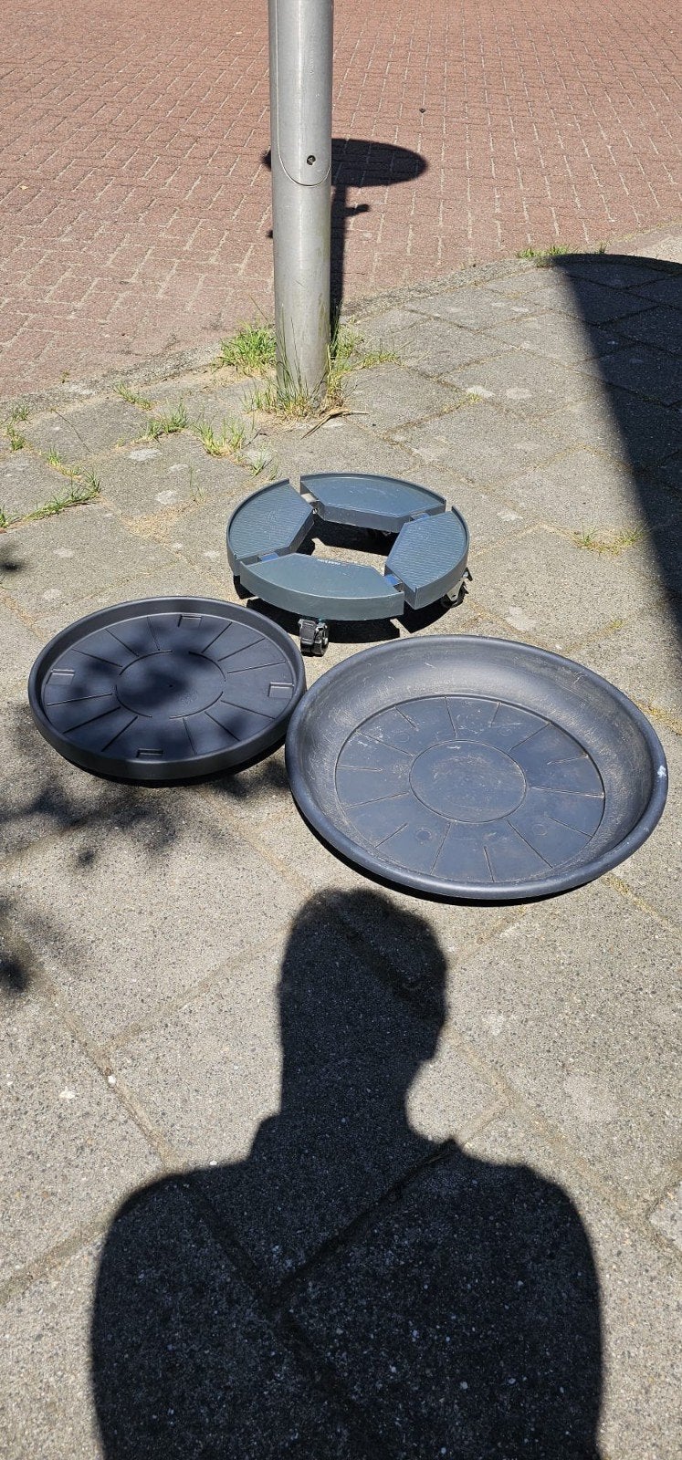 Grote planten schotel +/- 50cm, 2x trolley voor plant, Ophalen
