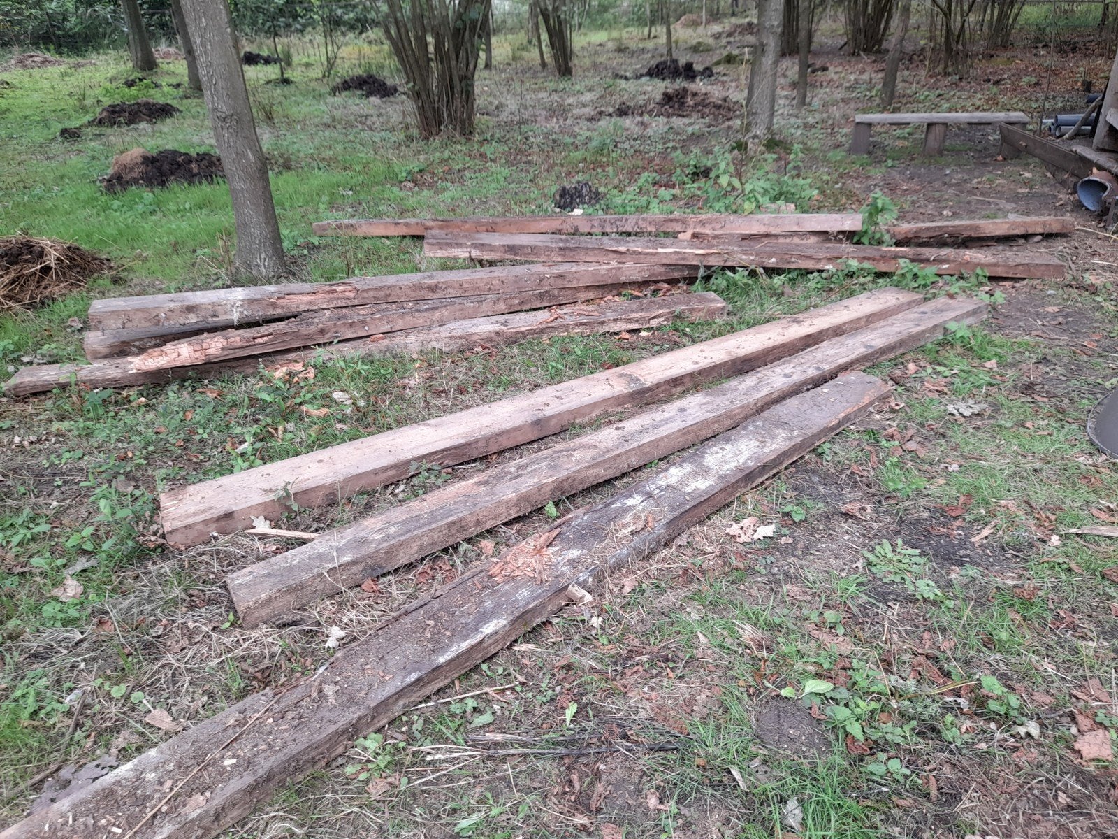 Gratis balken brandhout, 6 m³ of meer, Ophalen