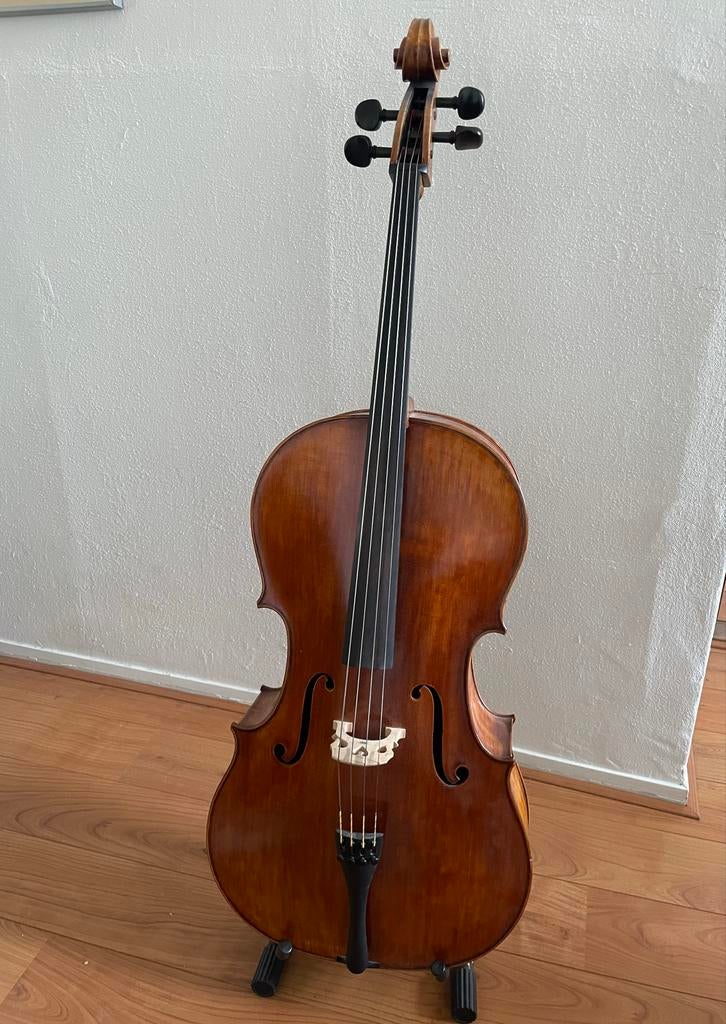 Prachtige cello met strijkstok en tas, Muziek en Instrumenten, Strijkinstrumenten | Cello's, Ophalen, Gebruikt, 4/4-cello