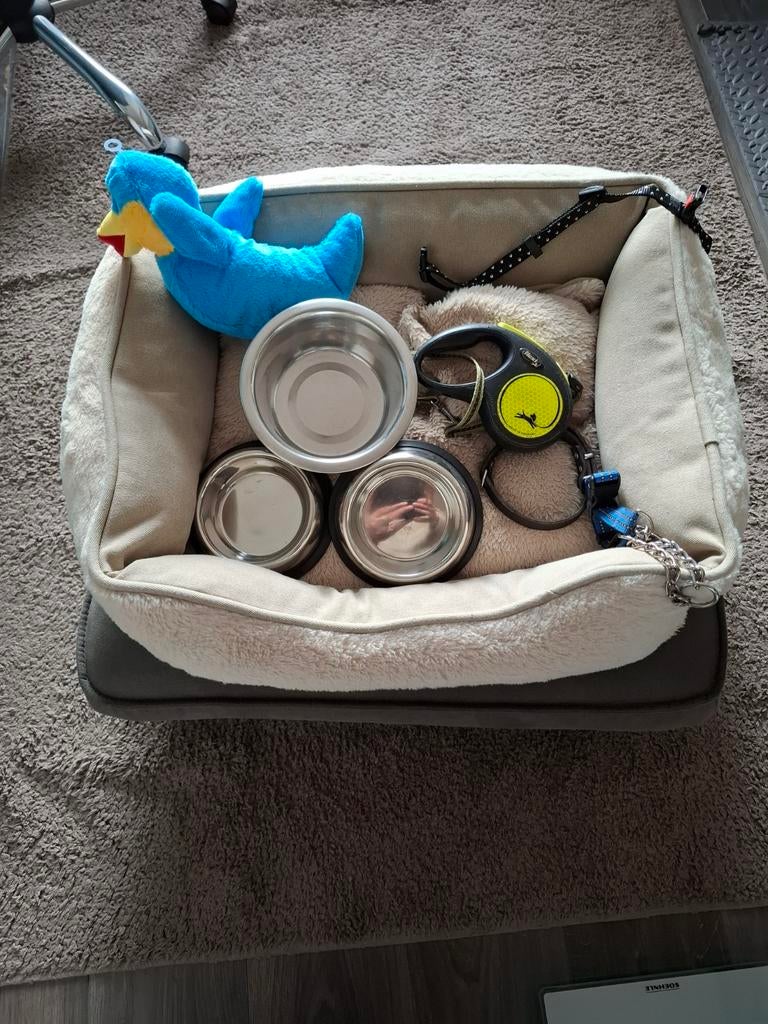 Hondenmand voor kleinere honden plus accessoires., Dieren en Toebehoren, Ophalen