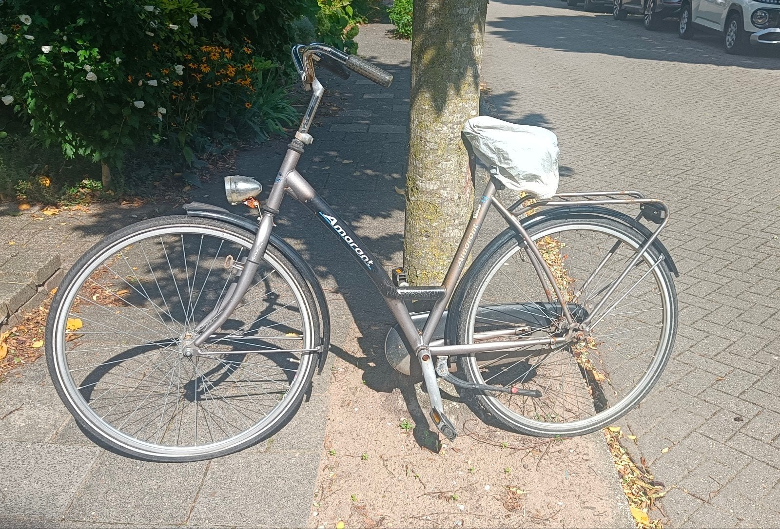 Amarant damesfiets, Terugtraprem, 50 tot 53 cm, Ophalen, Overige merken