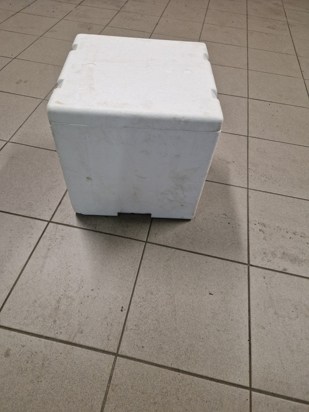 Geïsoleerde Bewaarbox van Piepschuim, Ophalen, Gebruikt, Minder dan 50 cm, 5 – 50