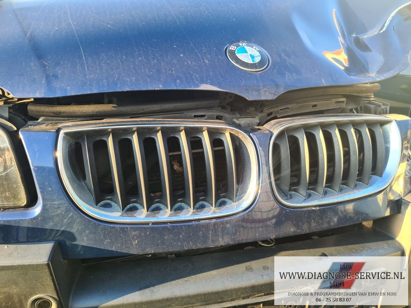BMW X3 E83 grill links en rechts, Gebruikt, -, -, Ophalen of Verzenden