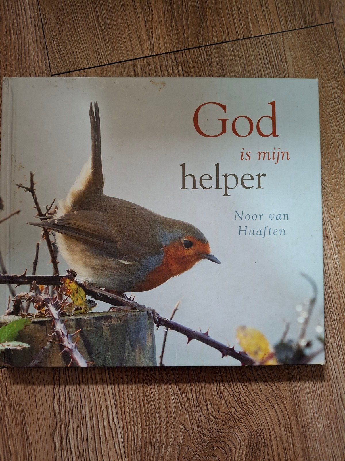 Noor van Haaften - God is mijn helper, Ophalen of Verzenden, Zo goed als nieuw, Noor van Haaften