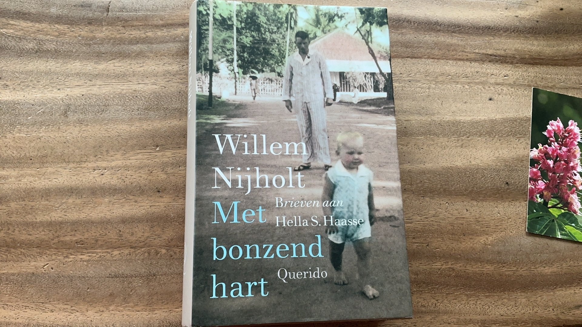 Met bonzend hart, Willem Nijholt, Boeken, Ophalen of Verzenden, Nieuw