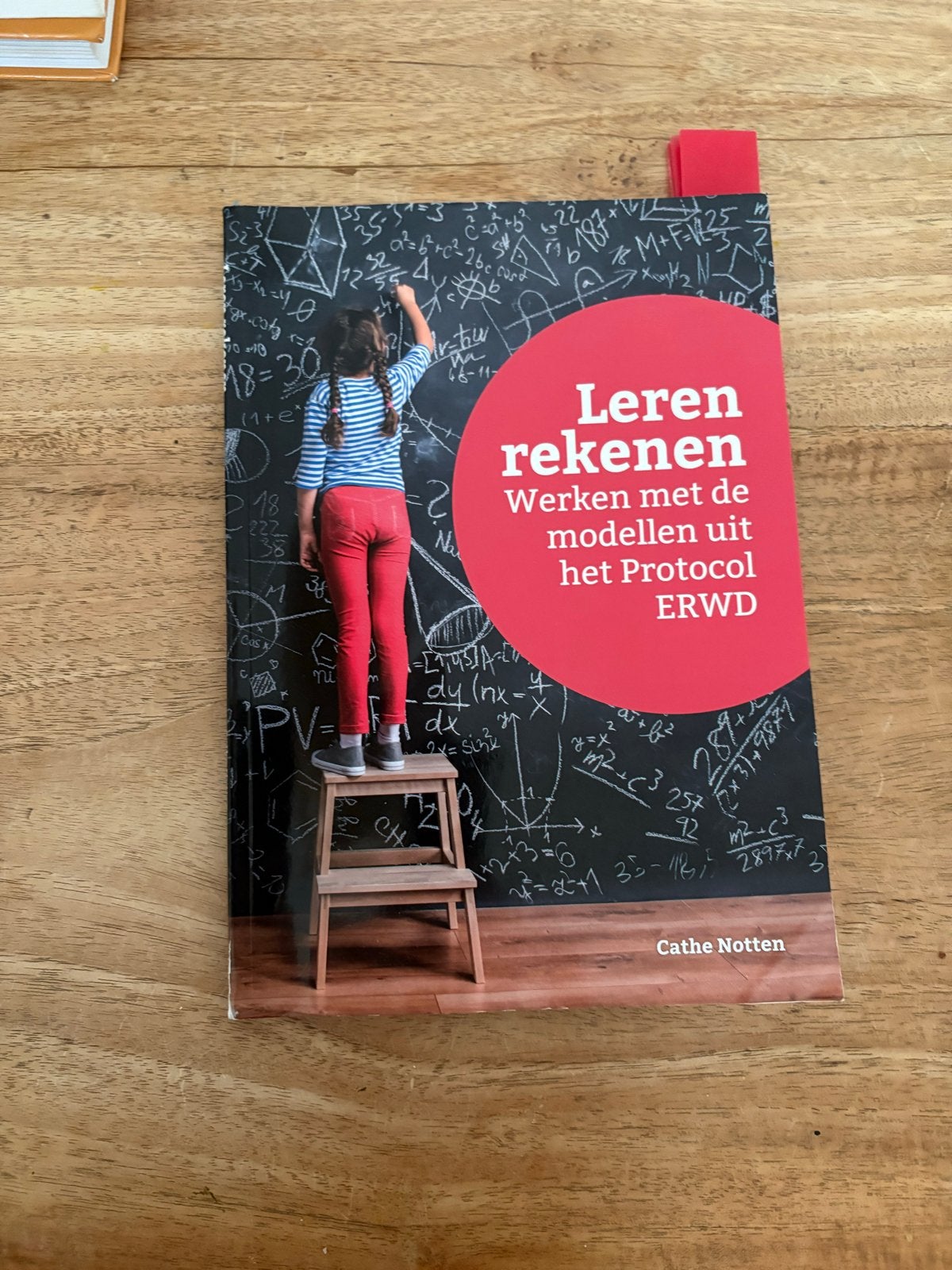 Leren rekenen: Werken met modellen uit Protocol ERWD, Boeken, Ophalen of Verzenden, Beta, Zo goed als nieuw, Overige niveaus