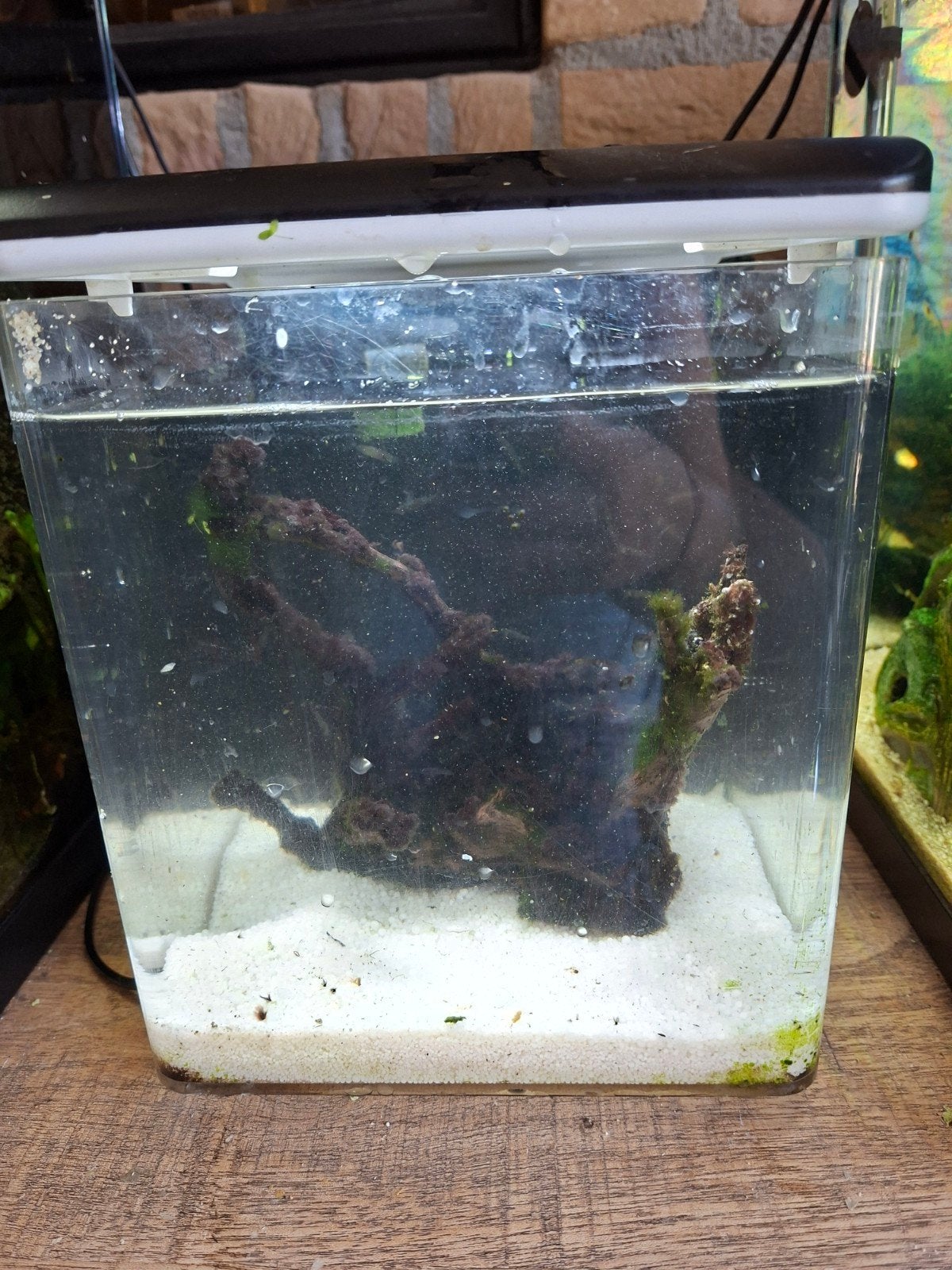 Nano aquarium te koop, Ophalen, Inclusief toebehoren, Gebruikt, Gevuld zoetwateraquarium