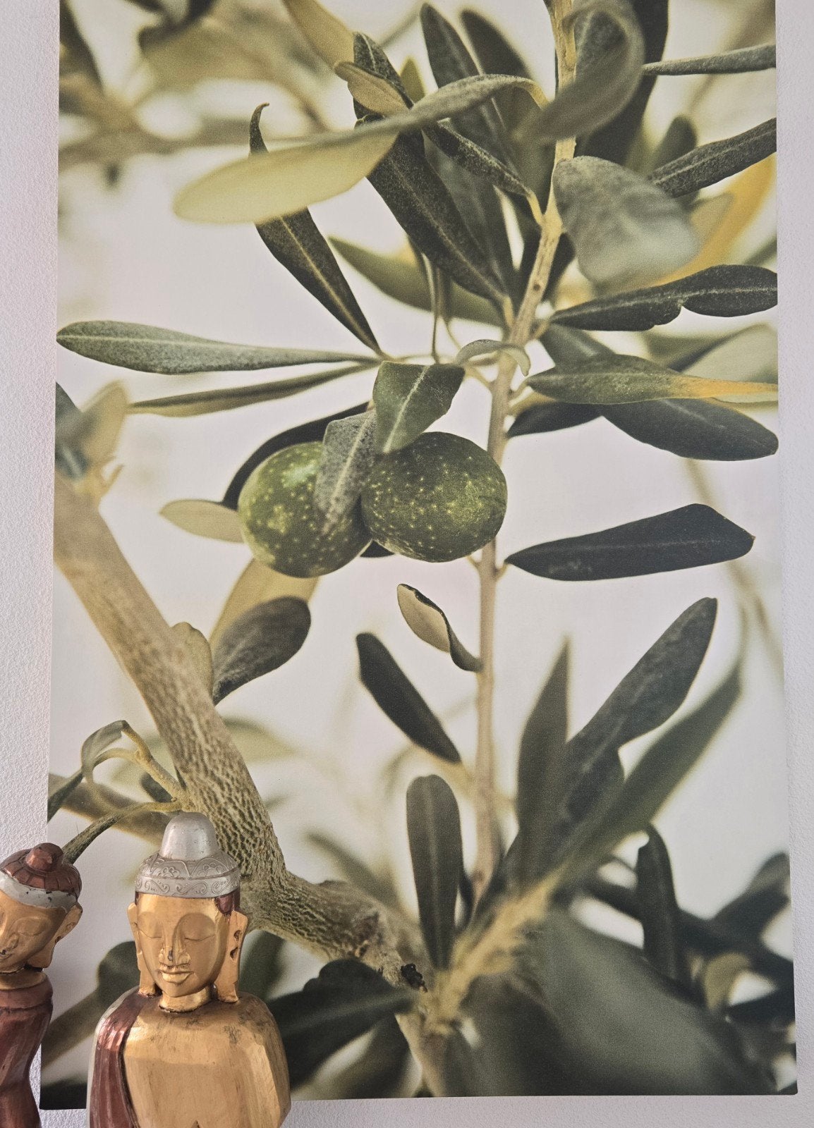 natuurgetrouwe groot schilderij poster van olijfboom-koopje, Ophalen