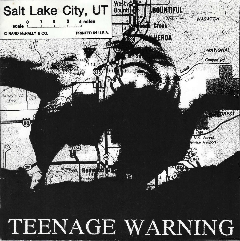 teenage warning / salt lake city - punk/nederpunk, Gebruikt, Verzenden, 7 inch, Single