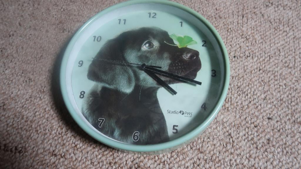 Studio Pets Wandklok, Ophalen, Zo goed als nieuw, Wandklok