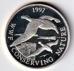 50  pence  1997  Falkland Eil. km. 59a   proof/unc, Ophalen of Verzenden, Noord-Amerika, Losse munt, Zilver