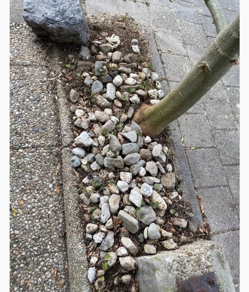 Vele grind stenen, Tuin en Terras, Ophalen, Gebruikt, Blauw, Grind
