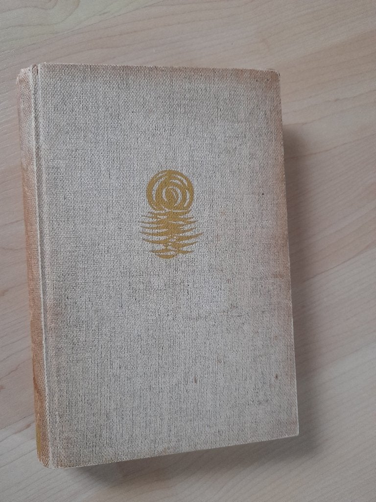 DE GOUDEN POARTE   Th Kuiper friestalig, Boeken, Ophalen of Verzenden, Gelezen, Nederland