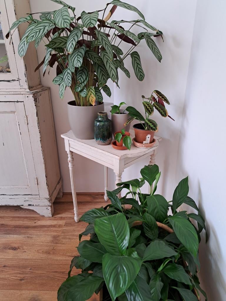 Brocante bijzettafel, Ophalen