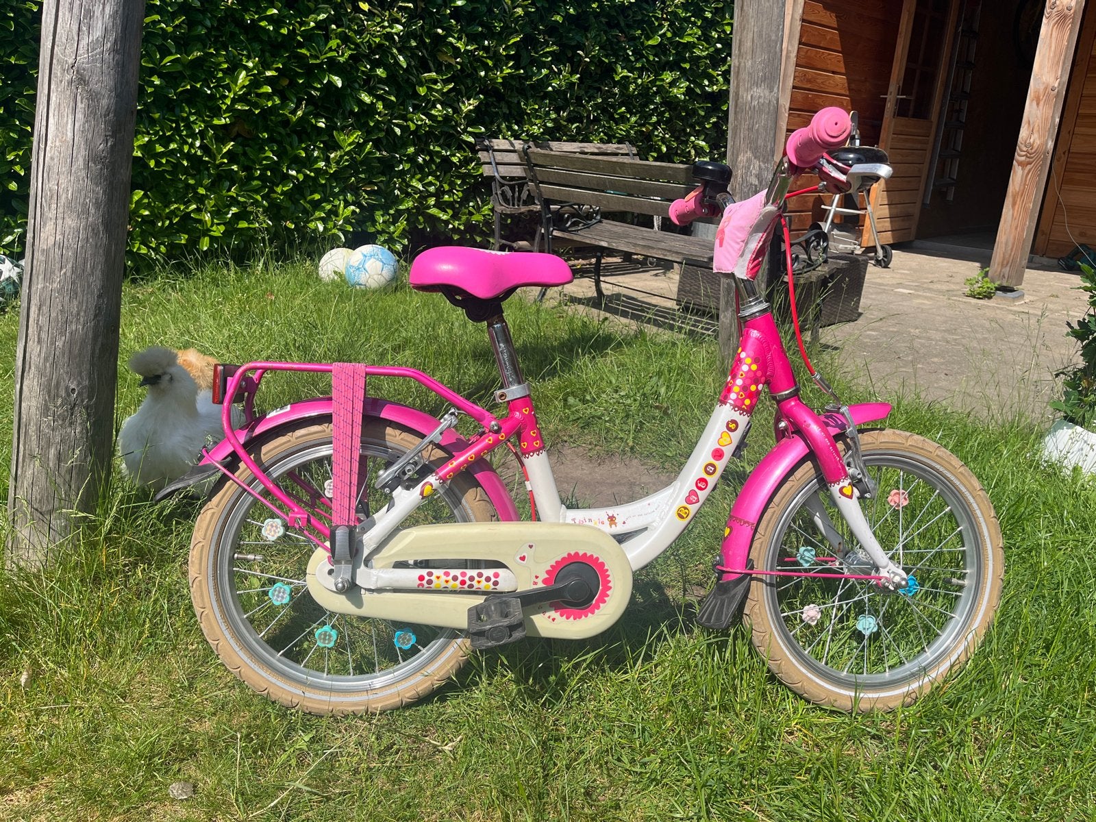 Batavus Twinkle Kinderfiets 16 inch - Roze, Ophalen, Gebruikt, 16 inch