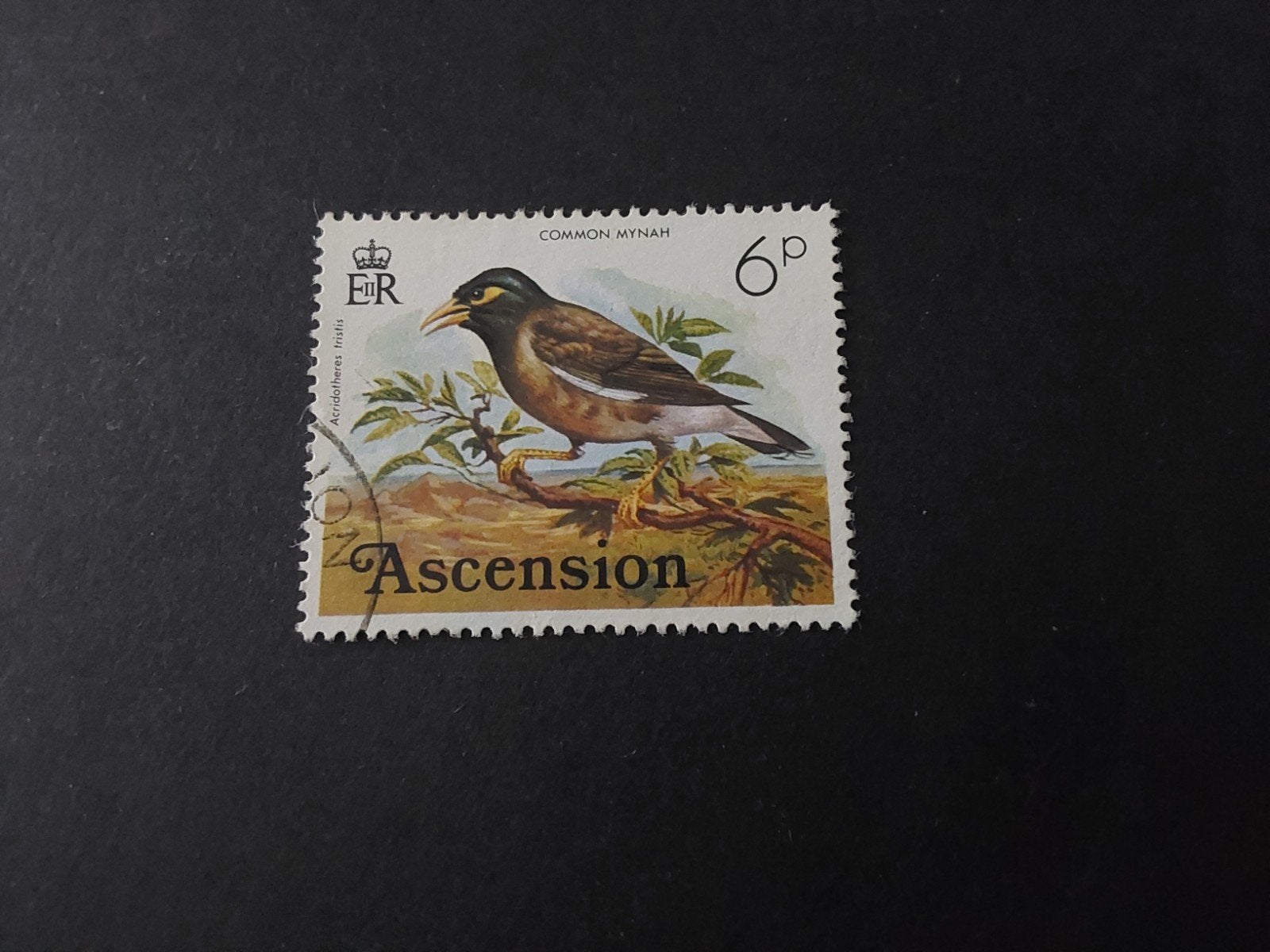 Ascension, SG 204, Verzenden, Gestempeld