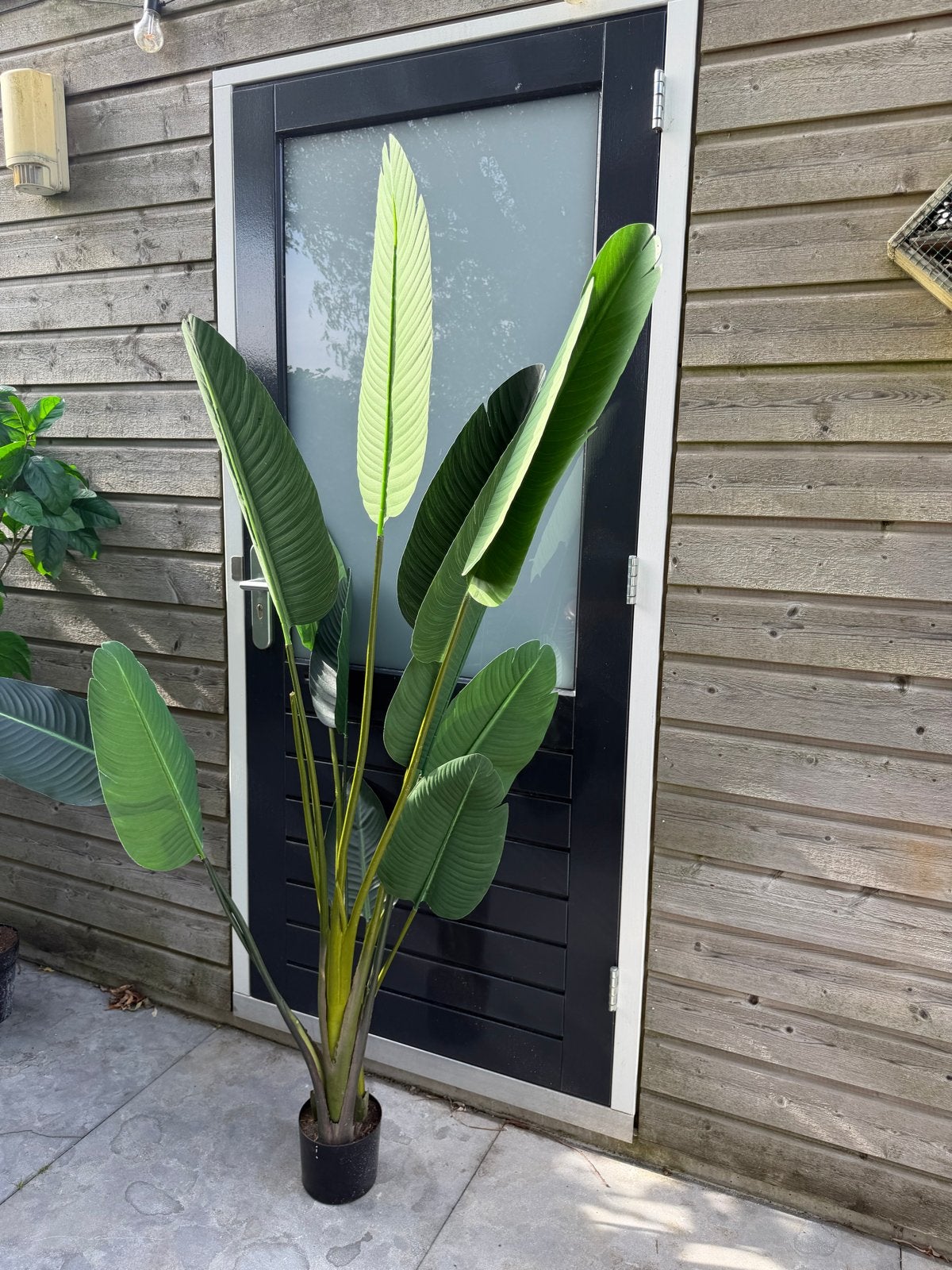 Grote Kunst Strelitzia Plant 183 cm - Realistisch, Ophalen, Binnen, Groen, Kunstplant