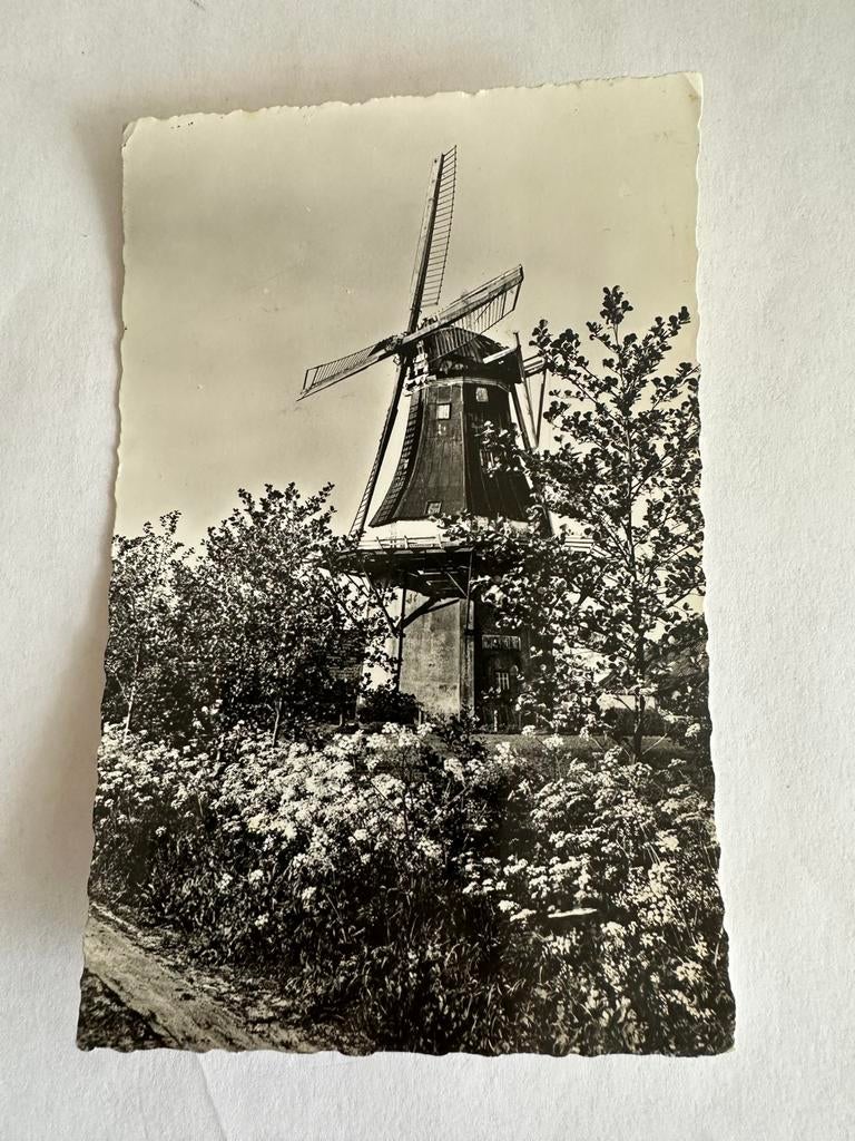 Ansichtkaart molen 1958, Ophalen of Verzenden, 1940 tot 1960