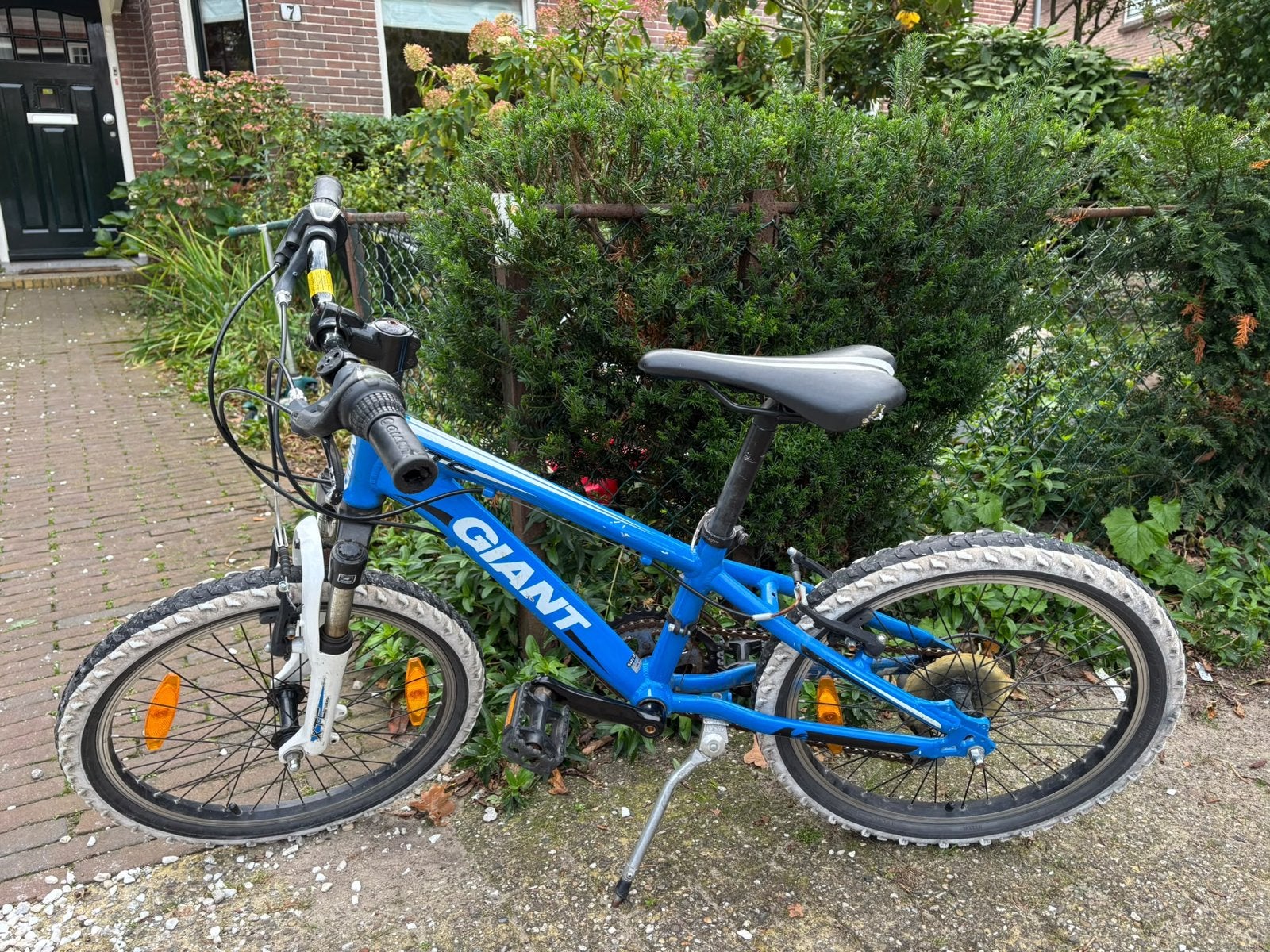 Giant 20 inch mountainbike - Blauw, Ophalen, Gebruikt