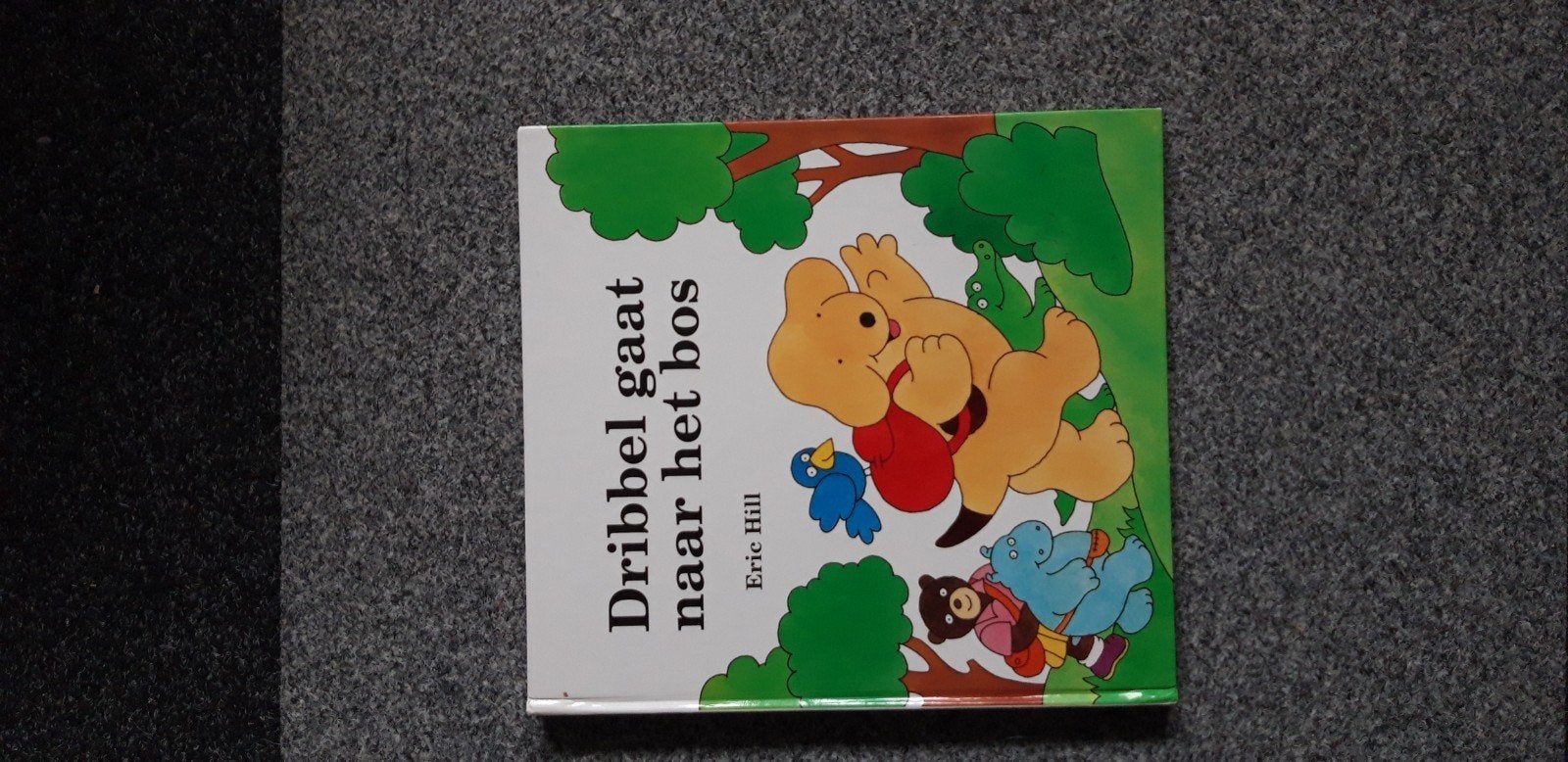 bribbel boek, Ophalen of Verzenden, Zo goed als nieuw, 1 tot 2 jaar