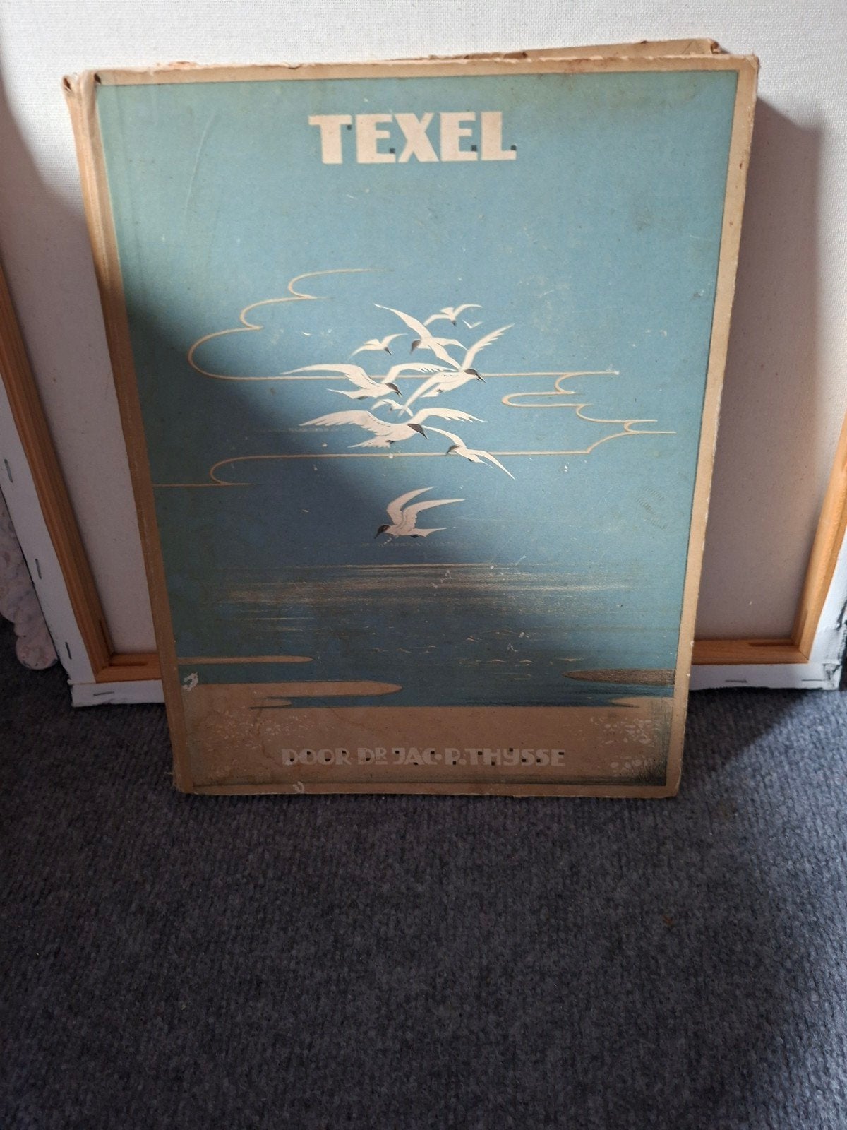 Texel Plaatjesboek - Door Jac. P. Thijsse, Boeken, Ophalen of Verzenden, Gelezen, Jac. P. Thijsse, Plaatjesalbum
